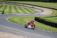 enduro-digital-images;event-digital-images;eventdigitalimages;lydden-hill;lydden-no-limits-trackday;lydden-photographs;lydden-trackday-photographs;no-limits-trackdays;peter-wileman-photography;racing-digital-images;trackday-digital-images;trackday-photos